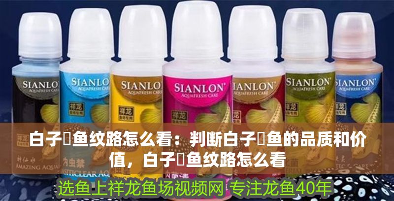 白子魟魚紋路怎么看：判斷白子魟魚的品質和價值，白子魟魚紋路怎么看 白子魟魚紋路怎么看：判斷白子魟魚的品質和價值，白子魟魚紋路怎么看 魟魚百科 第2張