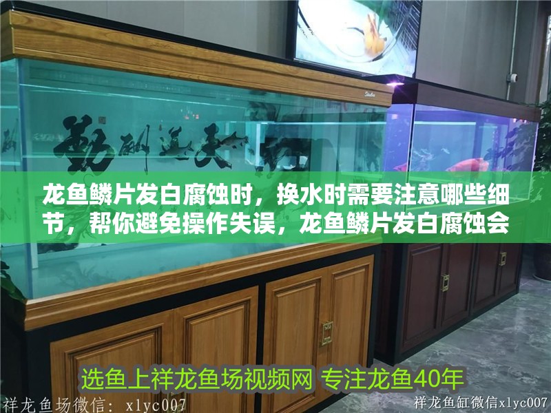 龍魚鱗片發(fā)白腐蝕時，換水時需要注意哪些細(xì)節(jié)，幫你避免操作失誤，龍魚鱗片發(fā)白腐蝕會自愈嗎