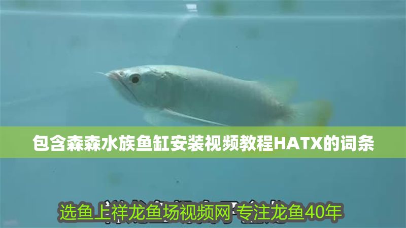 包含森森水族魚缸安裝視頻教程HATX的詞條