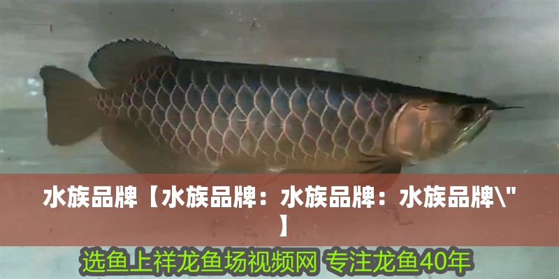 水族品牌【水族品牌：水族品牌：水族品牌\