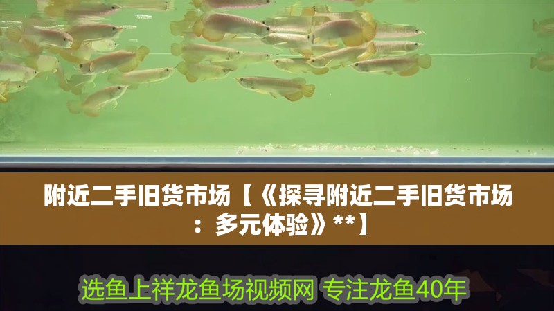 附近二手舊貨市場(chǎng)【《探尋附近二手舊貨市場(chǎng)：多元體驗(yàn)》**】