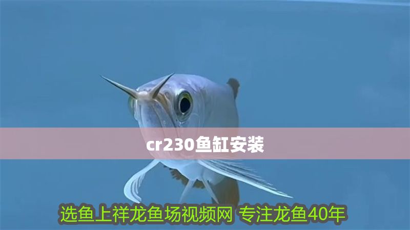 cr230魚(yú)缸安裝