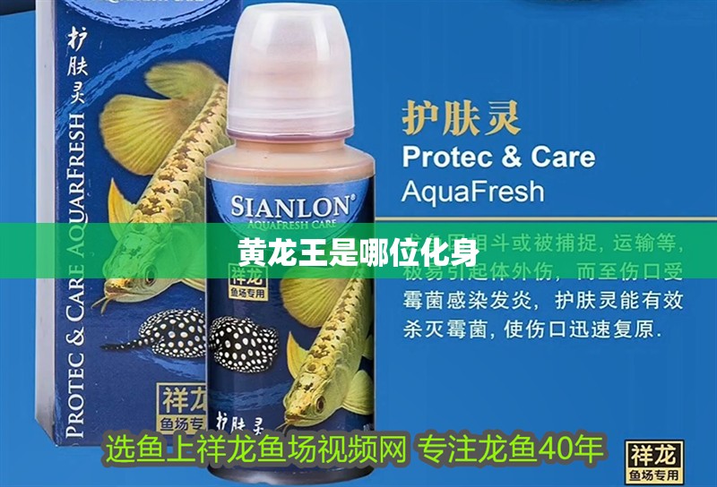 黃龍王是哪位化身