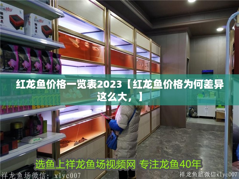 紅龍魚價格一覽表2023【紅龍魚價格為何差異這么大，】