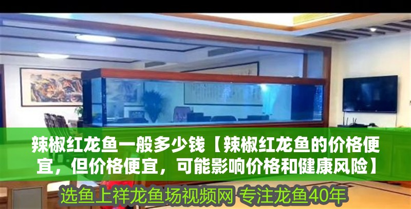 辣椒紅龍魚一般多少錢【辣椒紅龍魚的價格便宜，但價格便宜，可能影響價格和健康風險】