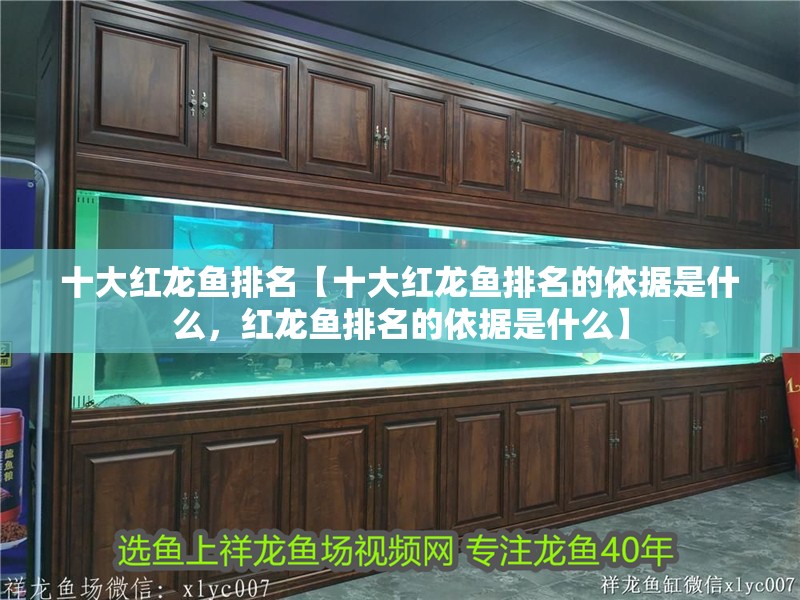 十大紅龍魚排名【十大紅龍魚排名的依據(jù)是什么，紅龍魚排名的依據(jù)是什么】