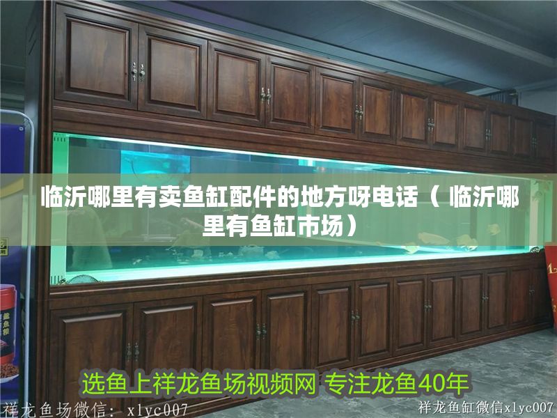 臨沂哪里有賣魚缸配件的地方呀電話（ 臨沂哪里有魚缸市場）