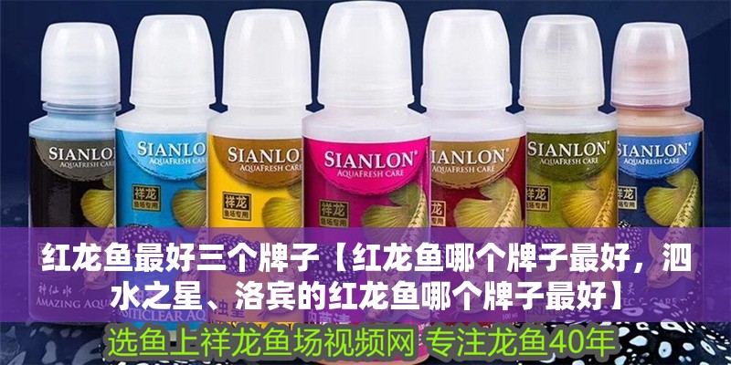 紅龍魚最好三個牌子【紅龍魚哪個牌子最好，泗水之星、洛賓的紅龍魚哪個牌子最好】