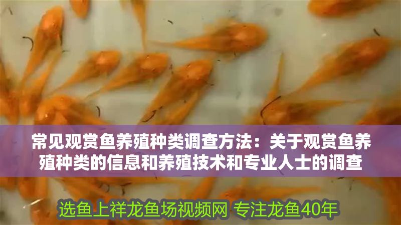 常見觀賞魚養殖種類調查方法：關于觀賞魚養殖種類的信息和養殖技術和專業人士的調查