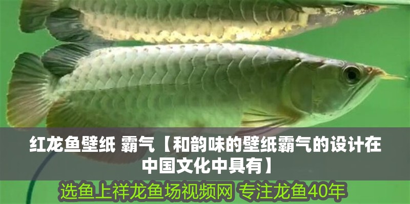 紅龍魚壁紙 霸氣【和韻味的壁紙霸氣的設計在中國文化中具有】