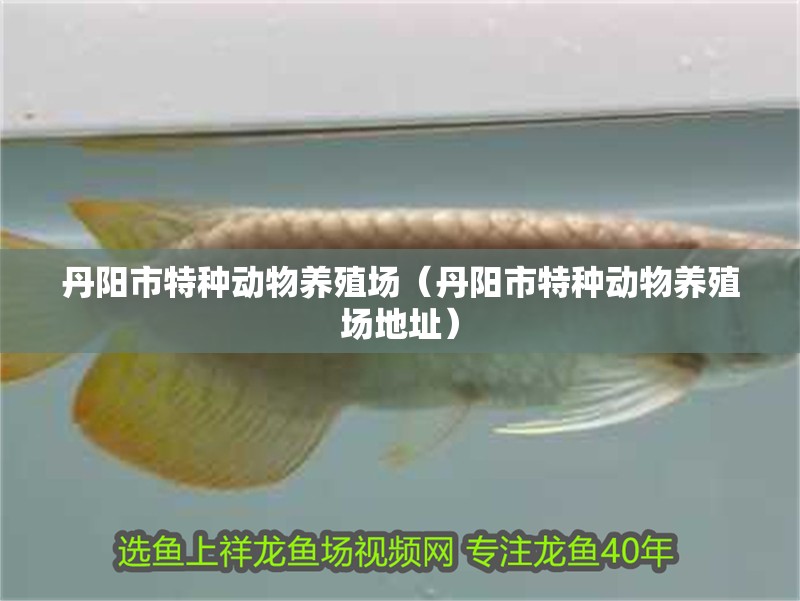 丹陽市特種動(dòng)物養(yǎng)殖場(chǎng)（丹陽市特種動(dòng)物養(yǎng)殖場(chǎng)地址）