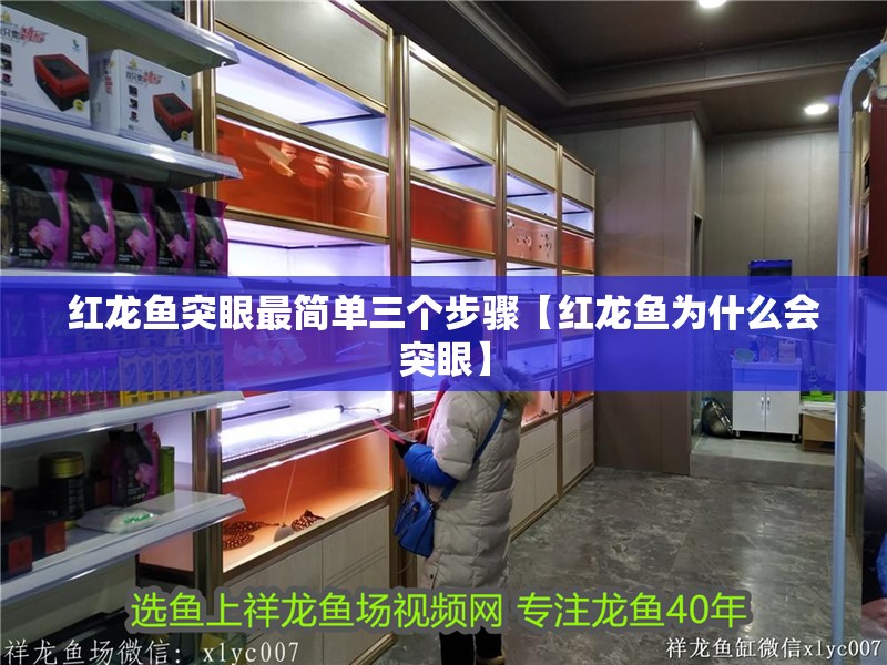 紅龍魚突眼最簡單三個步驟【紅龍魚為什么會突眼】