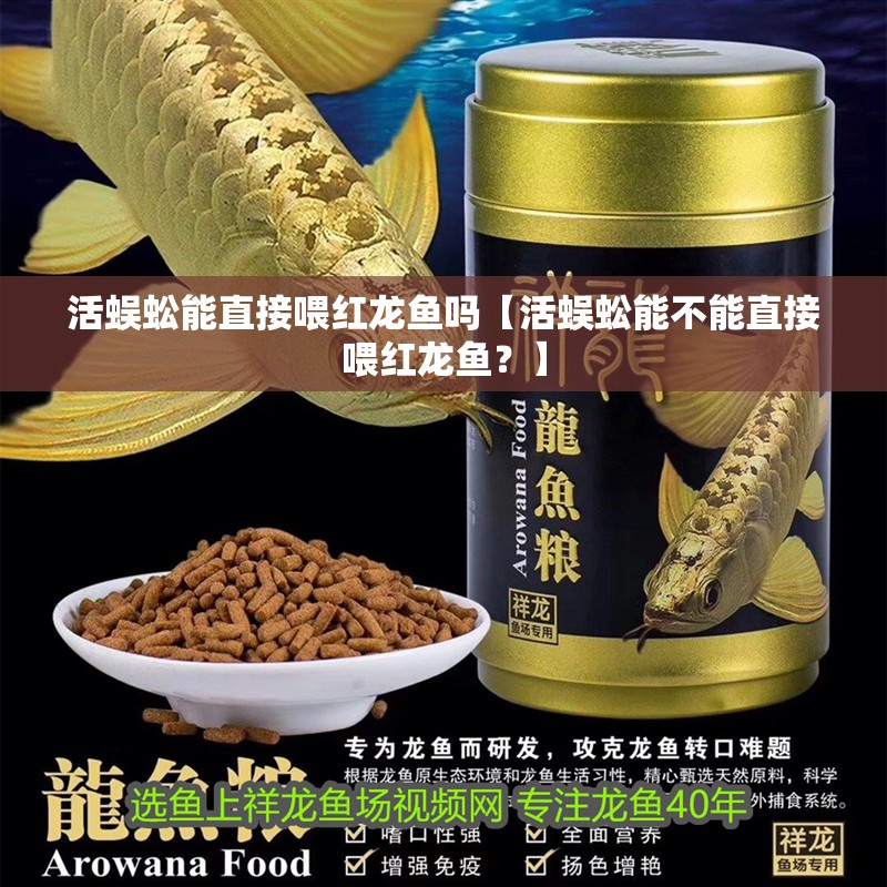 活蜈蚣能直接喂紅龍魚嗎【活蜈蚣能不能直接喂紅龍魚？】