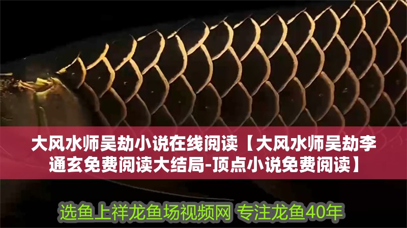 大風水師吳劫小說在線閱讀【大風水師吳劫李通玄免費閱讀大結局-頂點小說免費閱讀】