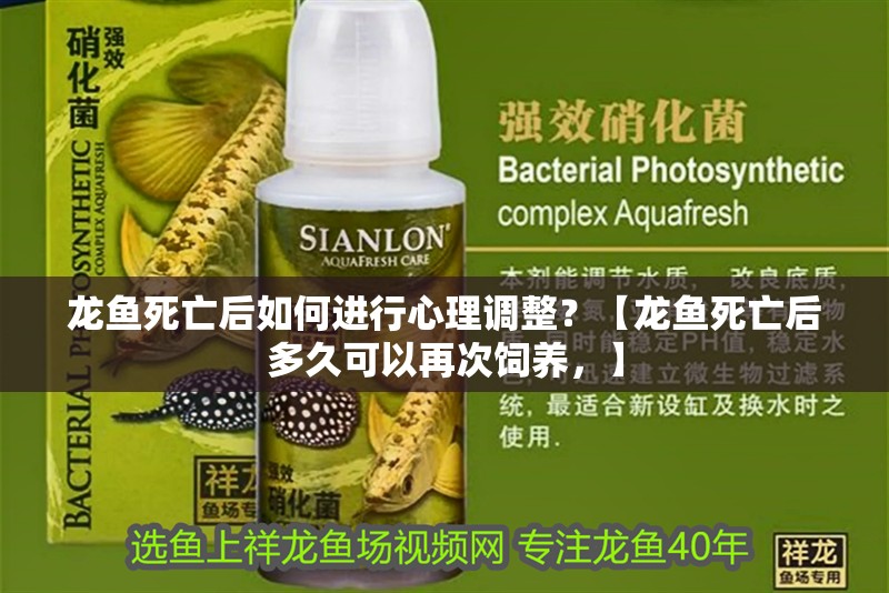 龍魚死亡后如何進行心理調整？【龍魚死亡后多久可以再次飼養，】