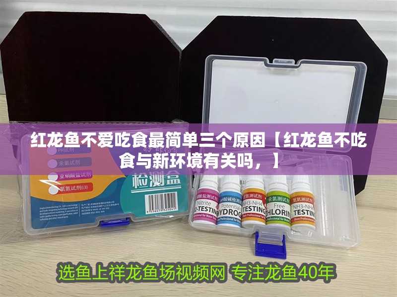 紅龍魚不愛吃食最簡單三個(gè)原因【紅龍魚不吃食與新環(huán)境有關(guān)嗎，】
