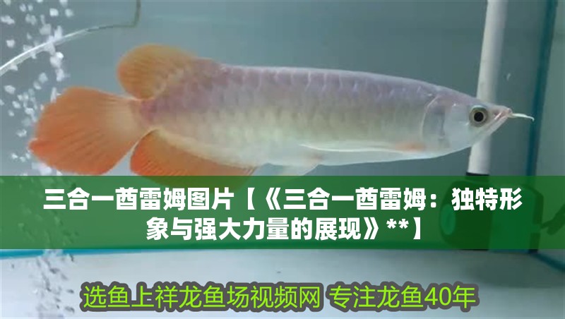 三合一酋雷姆圖片【《三合一酋雷姆：獨(dú)特形象與強(qiáng)大力量的展現(xiàn)》**】