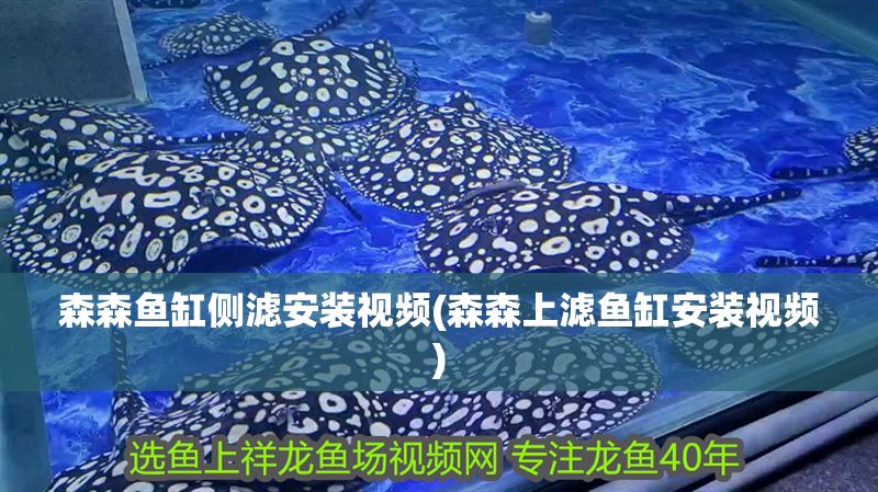 森森魚缸側濾安裝視頻(森森上濾魚缸安裝視頻)