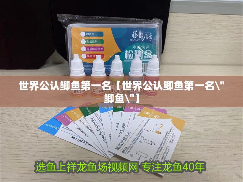 世界公認鯽魚第一名【世界公認鯽魚第一名\