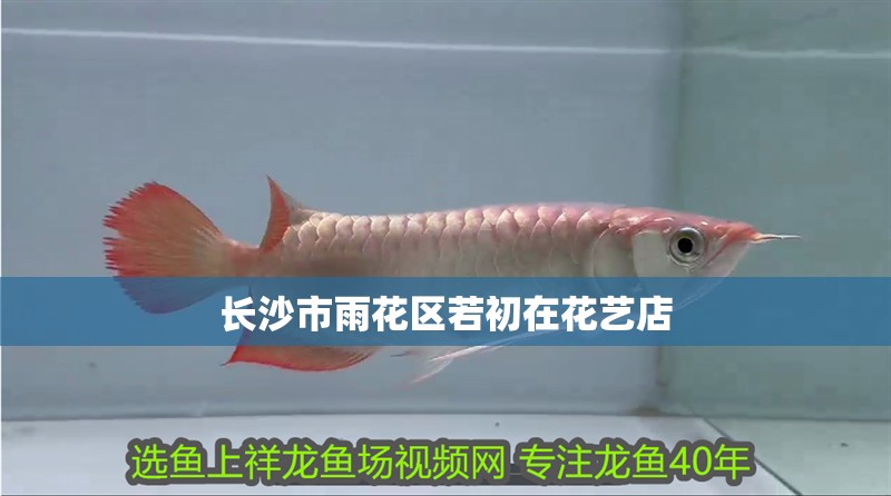 長(zhǎng)沙市雨花區(qū)若初在花藝店