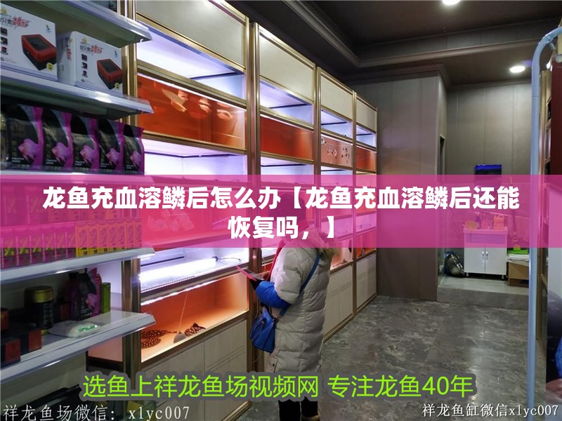 龍魚充血溶鱗后怎么辦【龍魚充血溶鱗后還能恢復嗎，】 龍魚充血溶鱗后怎么辦【龍魚充血溶鱗后還能恢復嗎，】 水族問答