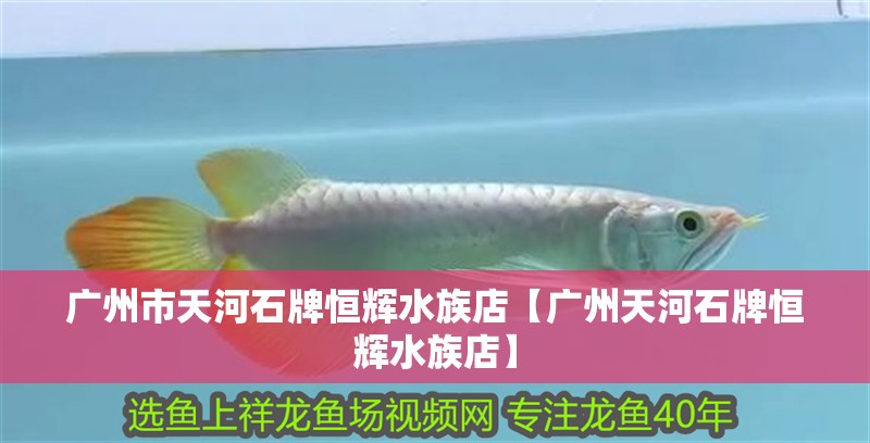 廣州市天河石牌恒輝水族店【廣州天河石牌恒輝水族店】