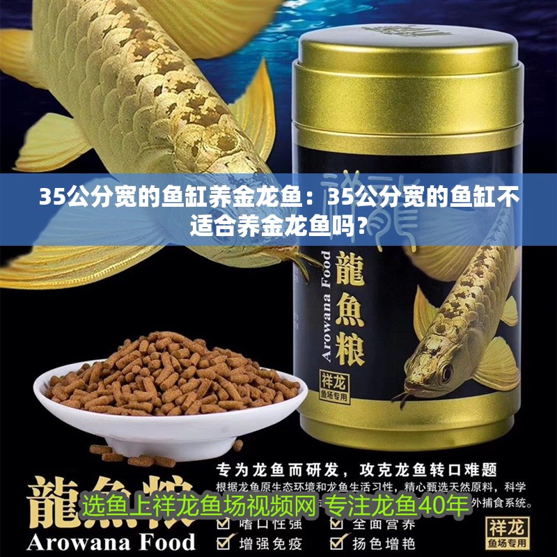 35公分寬的魚缸養(yǎng)金龍魚：35公分寬的魚缸不適合養(yǎng)金龍魚嗎？