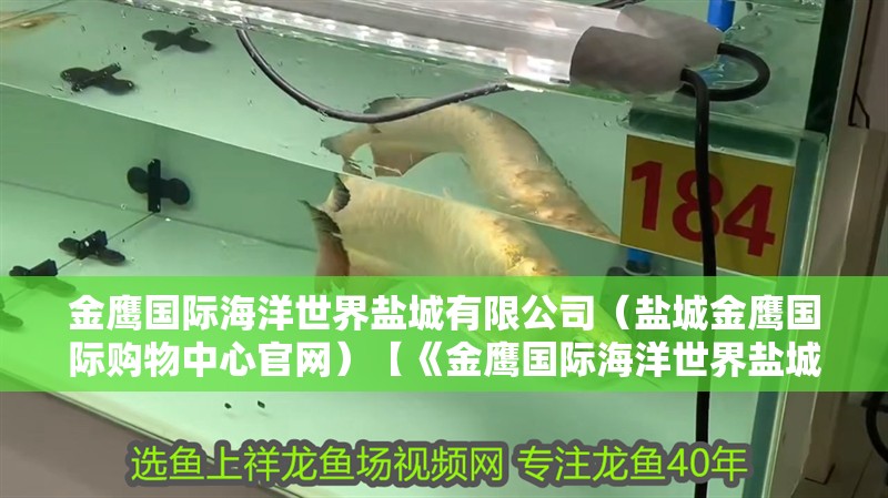 金鷹國際海洋世界鹽城有限公司（鹽城金鷹國際購物中心官網）【《金鷹國際海洋世界鹽城有限公司及鹽城金鷹國際購物中心官網）相關介紹】