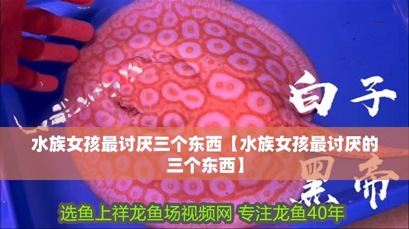 水族女孩最討厭三個(gè)東西【水族女孩最討厭的三個(gè)東西】