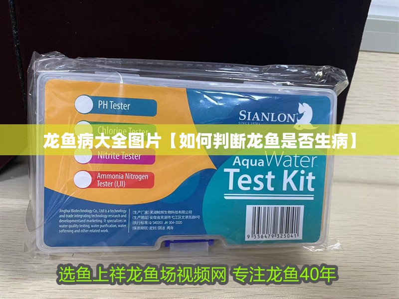 龍魚病大全圖片【如何判斷龍魚是否生病】