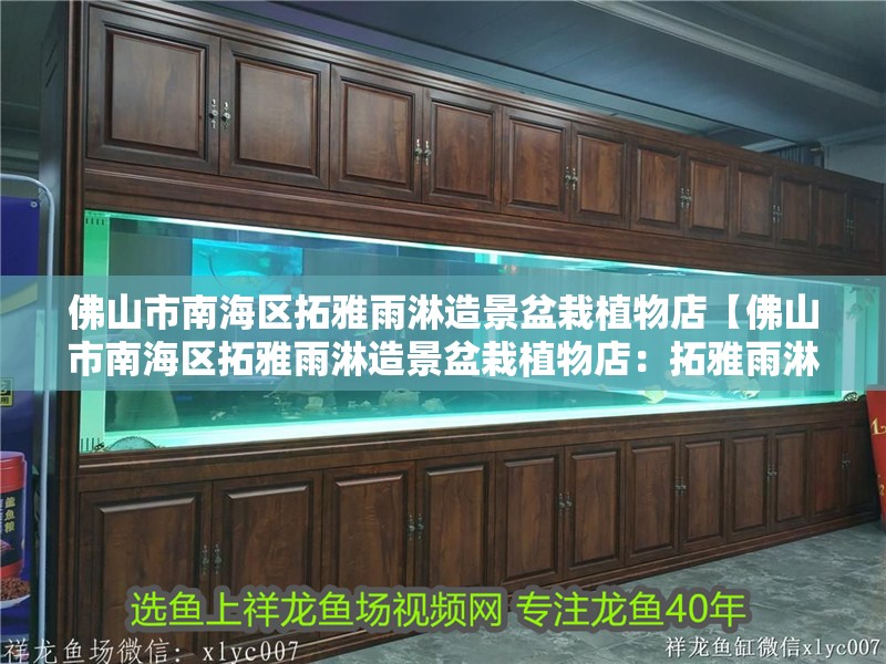 魚缸過濾器選購指南:自制魚缸過濾器魚缸上置過濾器對于養(yǎng)魚愛好者的必備知識 佛山市南海區(qū)拓雅雨淋造景盆栽植物店【佛山市南海區(qū)拓雅雨淋造景盆栽植物店:拓雅雨淋造景盆栽植物店】 全國水族館企業(yè)名錄 佛山市南海區(qū)拓雅雨淋造景盆栽植物店【佛山市南海區(qū)拓雅雨淋造景盆栽植物店:拓雅雨淋造景盆栽植物店】 佛山市南海區(qū)拓雅雨淋造景盆栽植物店【佛山市南海區(qū)拓雅雨淋造景盆栽植物店:拓雅雨淋造景盆栽植物店】 全國水族館企業(yè)名錄