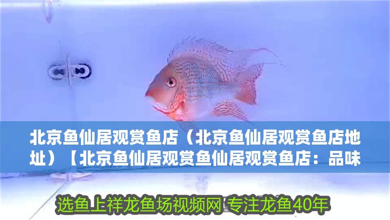 北京魚(yú)仙居觀賞魚(yú)店（北京魚(yú)仙居觀賞魚(yú)店地址）【北京魚(yú)仙居觀賞魚(yú)仙居觀賞魚(yú)店：品味別樣的水族樂(lè)園】