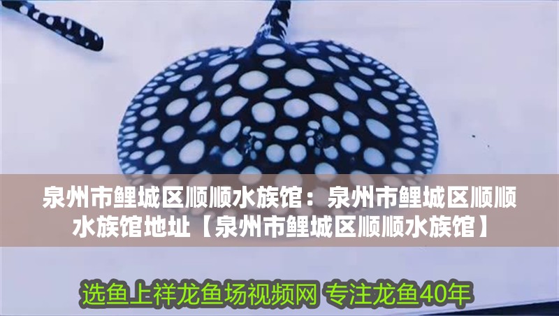 泉州市鯉城區順順水族館：泉州市鯉城區順順水族館地址【泉州市鯉城區順順水族館】