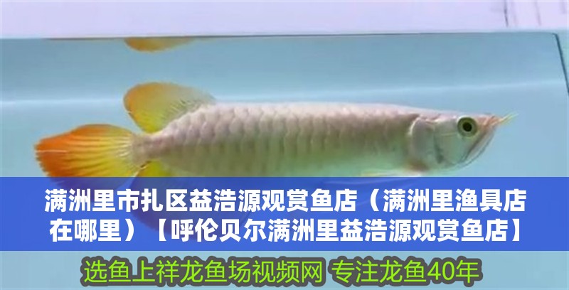 滿洲里市扎區益浩源觀賞魚店（滿洲里漁具店在哪里）【呼倫貝爾滿洲里益浩源觀賞魚店】