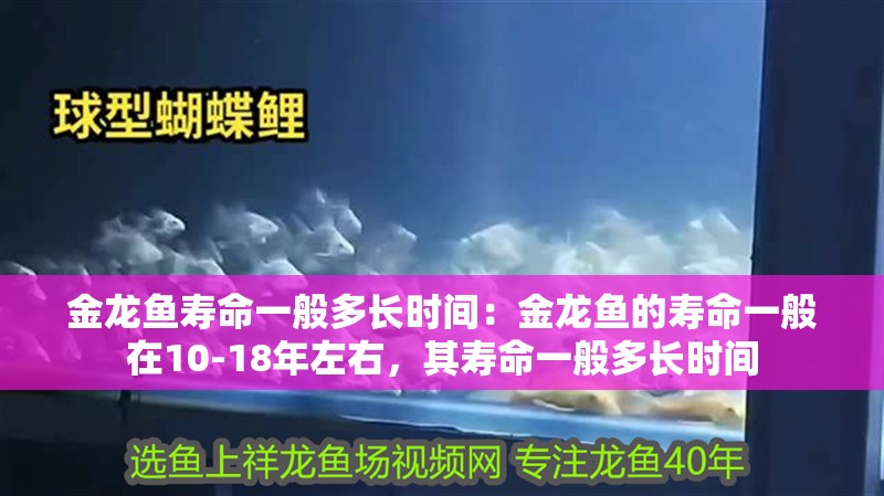 金龍魚壽命一般多長時間：金龍魚的壽命一般在10-18年左右，其壽命一般多長時間