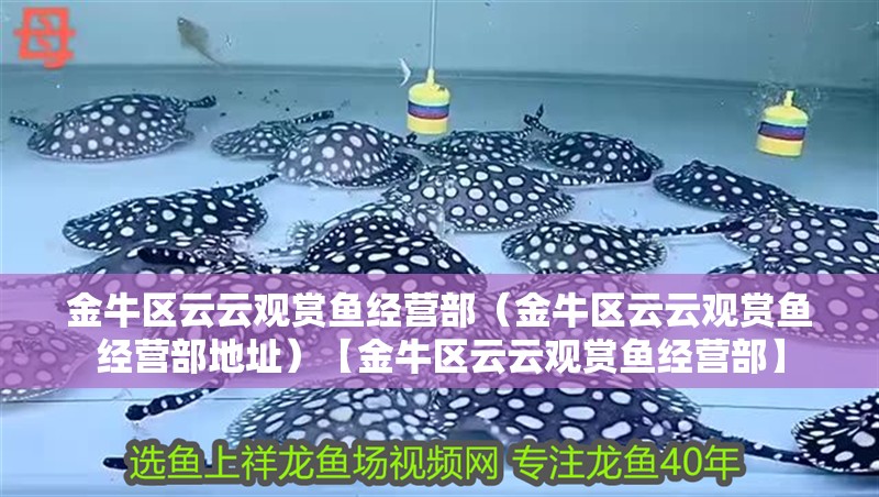 金牛區云云觀賞魚經營部（金牛區云云觀賞魚經營部地址）【金牛區云云觀賞魚經營部】