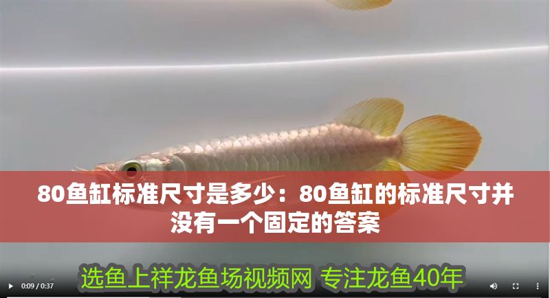 80魚缸標準尺寸是多少：80魚缸的標準尺寸并沒有一個固定的答案