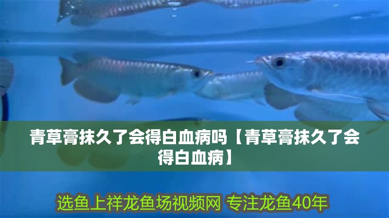 青草膏抹久了會得白血病嗎【青草膏抹久了會得白血病】