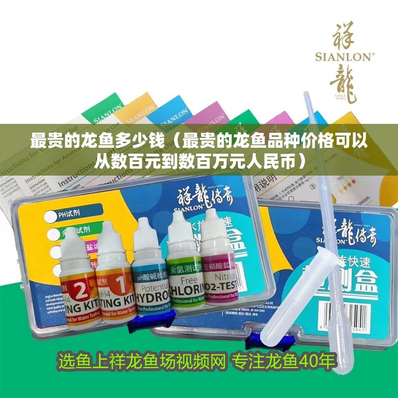 最貴的龍魚多少錢（最貴的龍魚品種價格可以從數百元到數百萬元人民幣）
