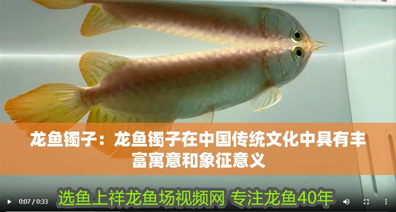 龍魚鐲子：龍魚鐲子在中國傳統(tǒng)文化中具有豐富寓意和象征意義