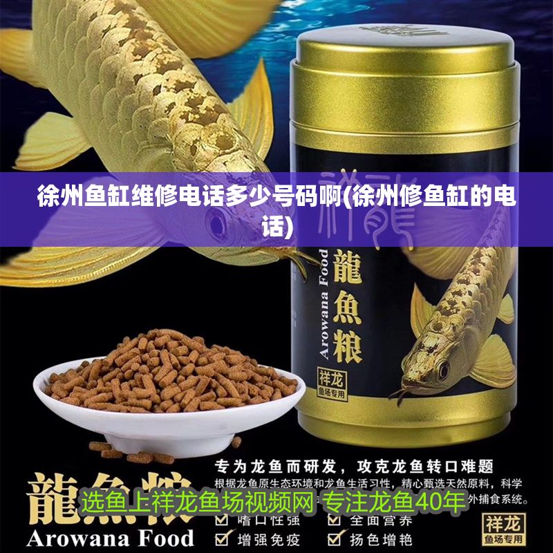 徐州魚缸維修電話多少號碼啊(徐州修魚缸的電話)