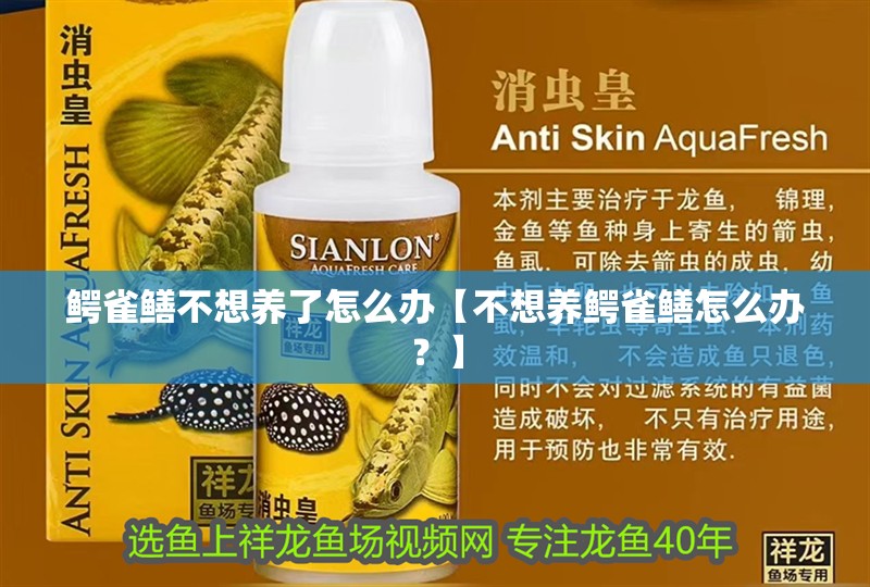 鱷雀鱔不想養(yǎng)了怎么辦【不想養(yǎng)鱷雀鱔怎么辦？】