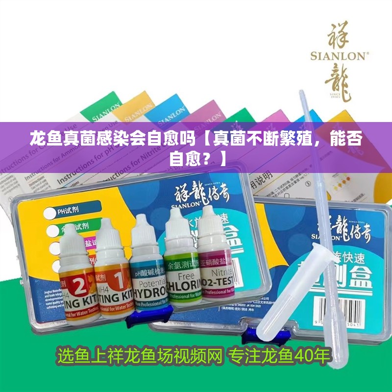 龍魚真菌感染會自愈嗎【真菌不斷繁殖，能否自愈？】