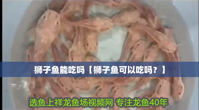 獅子魚能吃嗎【獅子魚可以吃嗎？】