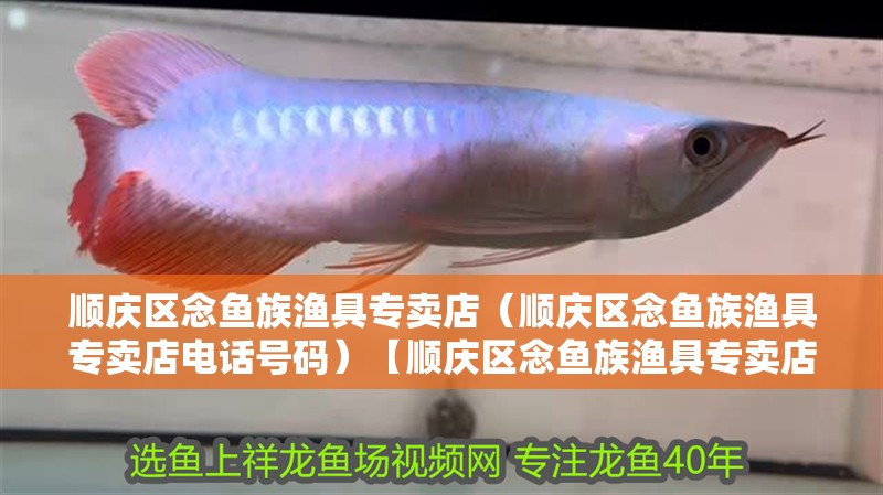 順慶區(qū)念魚族漁具專賣店（順慶區(qū)念魚族漁具專賣店電話號碼）【順慶區(qū)念魚族漁具專賣店】