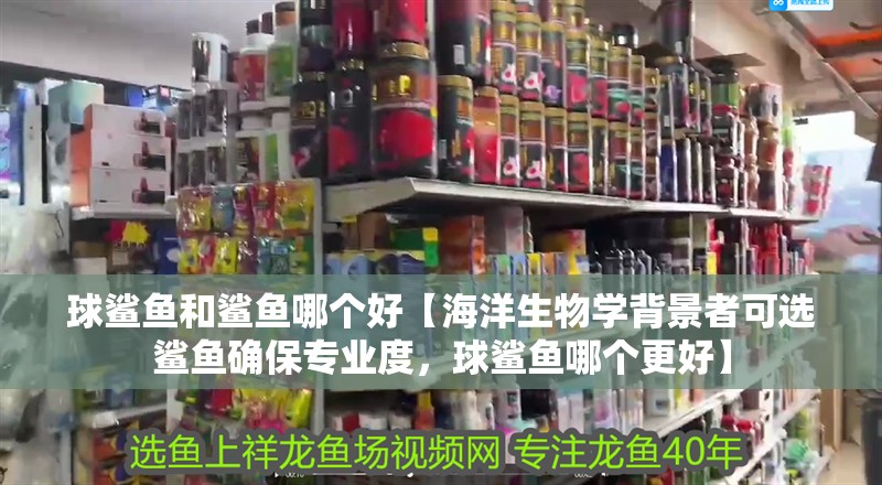 球鯊魚和鯊魚哪個好【海洋生物學背景者可選鯊魚確保專業度，球鯊魚哪個更好】