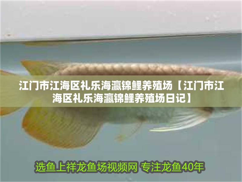 江門市江海區(qū)禮樂海瀛錦鯉養(yǎng)殖場【江門市江海區(qū)禮樂海瀛錦鯉養(yǎng)殖場日記】