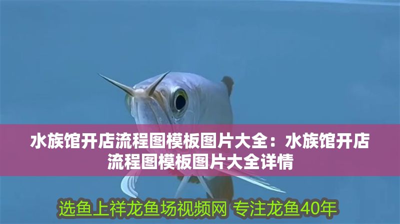 水族館開店流程圖模板圖片大全：水族館開店流程圖模板圖片大全詳情