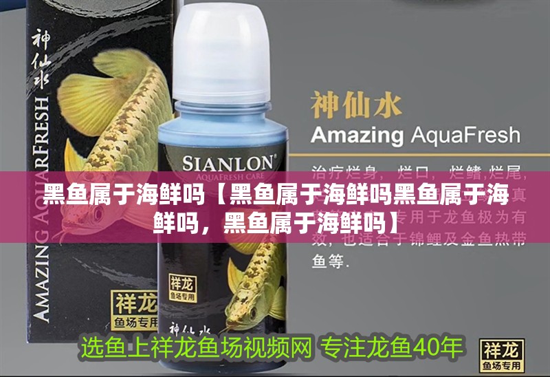 黑魚屬于海鮮嗎【黑魚屬于海鮮嗎黑魚屬于海鮮嗎，黑魚屬于海鮮嗎】