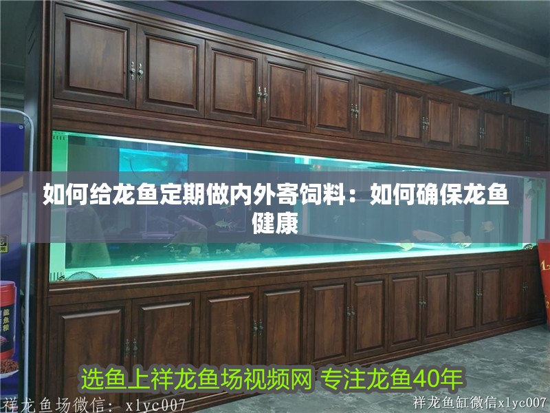 如何給龍魚定期做內(nèi)外寄飼料：如何確保龍魚健康